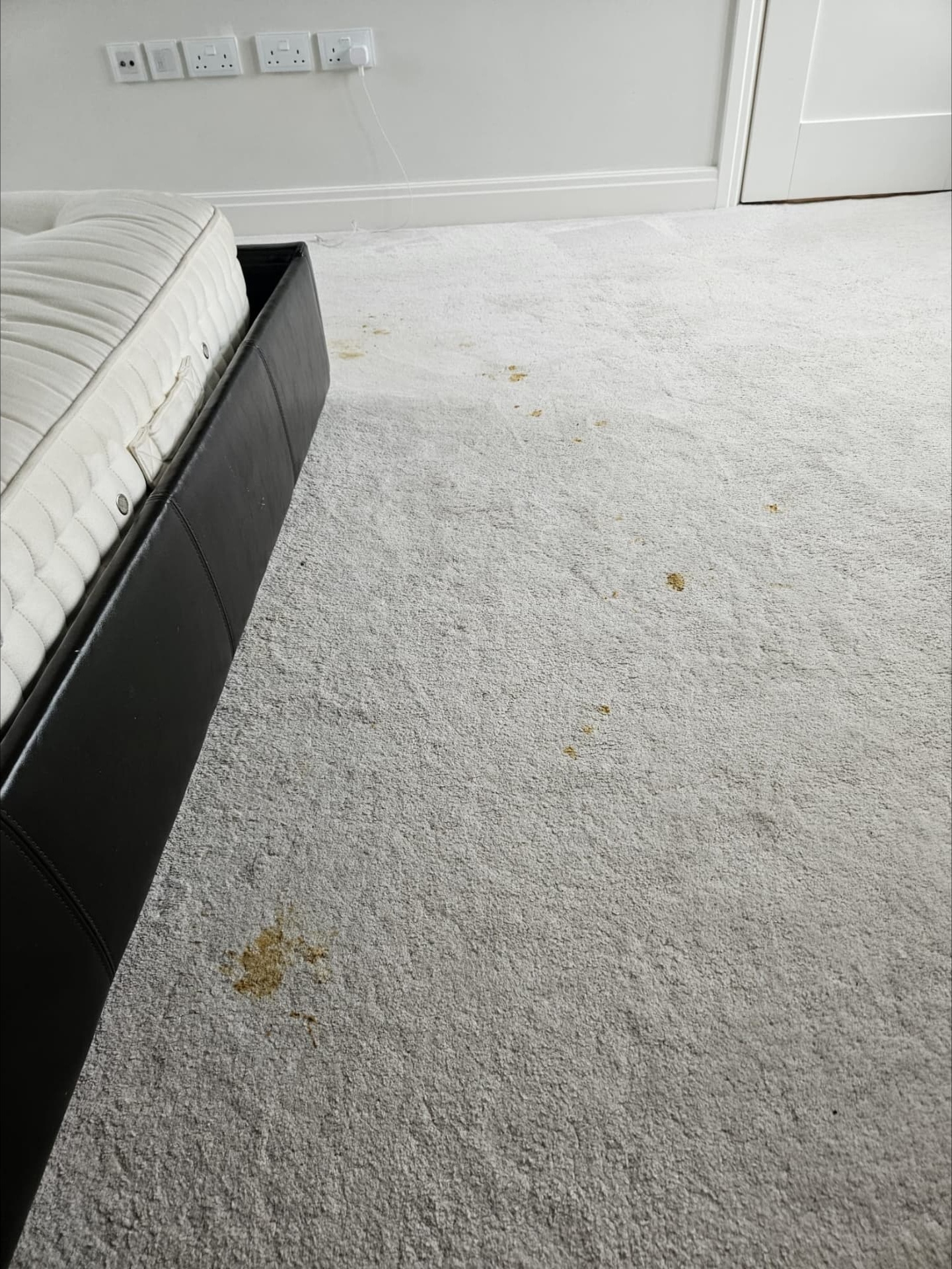 Stained carpet beside a bed before cleaning